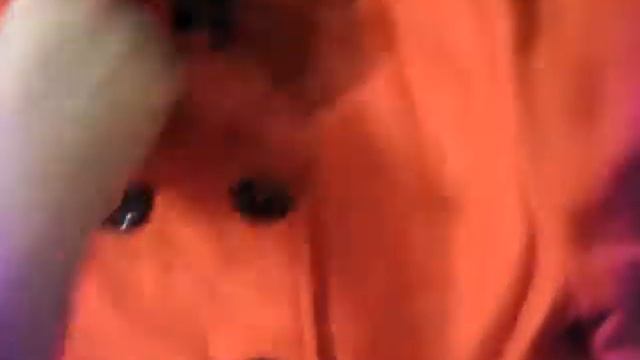 Польто смотреть онлайн