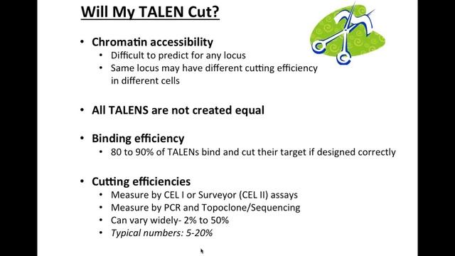 Site-Specific Nucleases Webinar presented by Blair Madison, Ph.D., University of Pennsylvania. смотреть онлайн