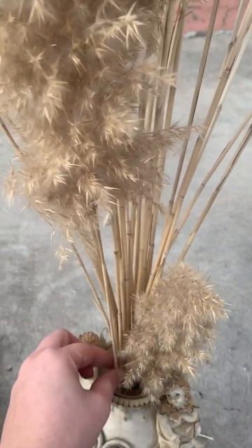 Ev dekorasyonu PAMPAS👍🏻 смотреть онлайн