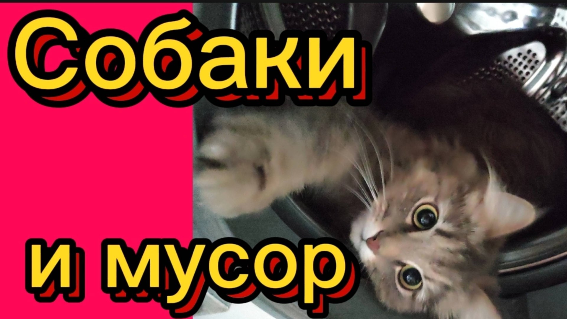 ДЕРЕВЕНСКИЙ ДНЕВНИК. "СОБАКИ И МУСОР" смотреть онлайн