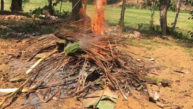 Home made | Coconut arrack in village life смотреть онлайн