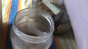 Хлебная подкормка для рассады  кукурузы    ПОДПИШИСЬ