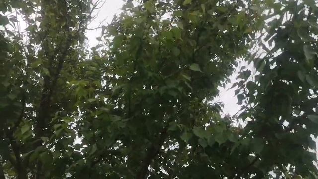 Огородные дела смотреть онлайн