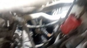 Ниссан эксперт не заводится