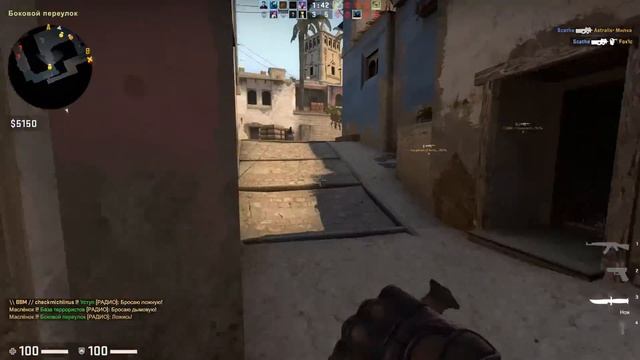 Професси-анальное наказание в кс го