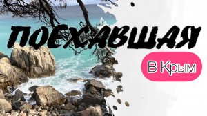 Поехавшая. В Крым.
Алупка- лучший пляж
12 апреля 2025