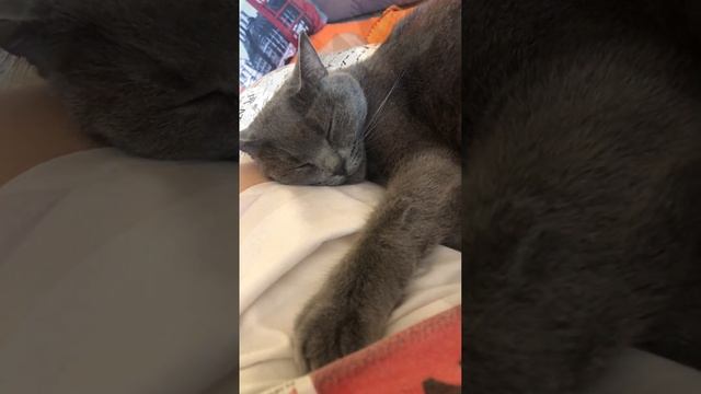 Самое заветное желание смотреть онлайн