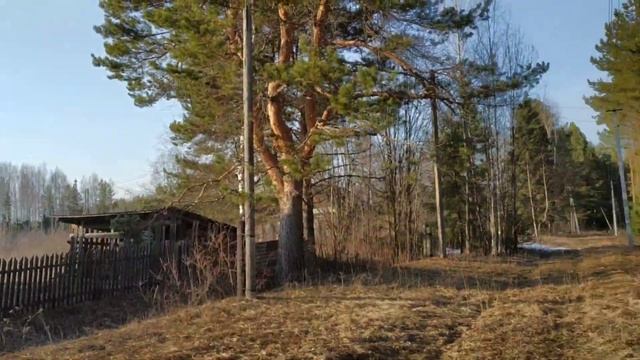 Берёзовый сок. Самоизоляция в деревне. Часть 6-я смотреть онлайн