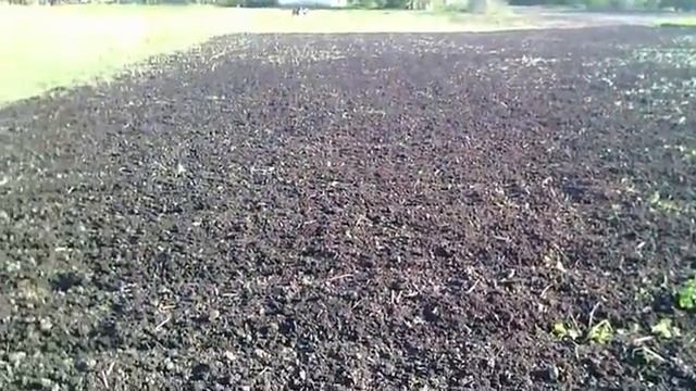 Сію кукурудзу. Весна 2016 смотреть онлайн
