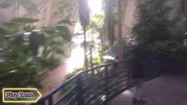 What are inside this giant green house at Botanic Garden @meabanchannel836 смотреть онлайн
