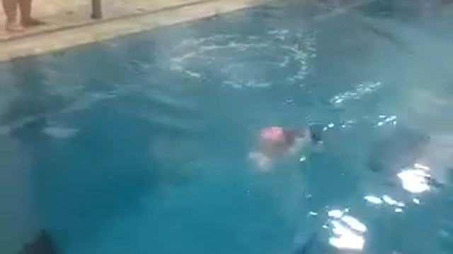 Jasmin Diving 4-23-13 смотреть онлайн