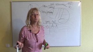 6 ВЫСШИЕ МОЗГОВЫЕ ФУНКЦИИ