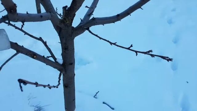 21 марта 2018 г один день из дачной жизни часть 2 смотреть онлайн