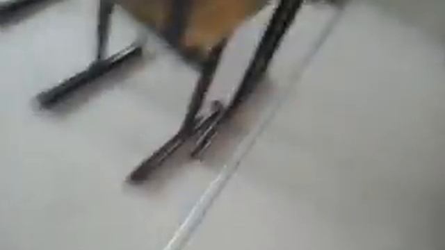 Жопа Тагильцева смотреть онлайн