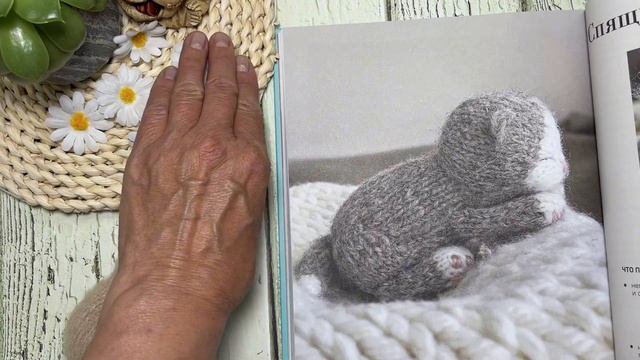 Загадочная игрушка. Котенок спицами. Совы в ладошку. Лето-море. смотреть онлайн
