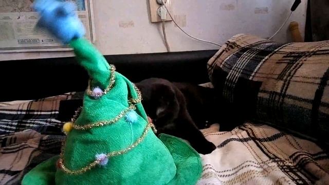 После новогоднего корпоратива смотреть онлайн