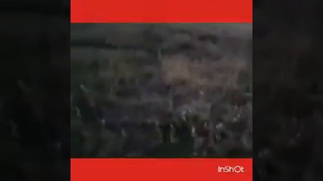 Разборки малолеток 2 часть смотреть онлайн