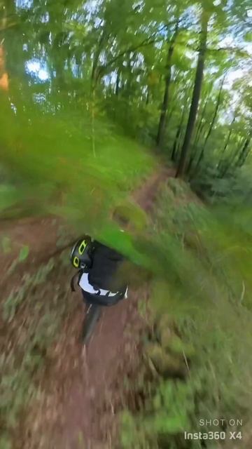 Exploring the wild forest on e-Mountain bike with the Insta360 X4 camera! Looking for some angels. смотреть онлайн