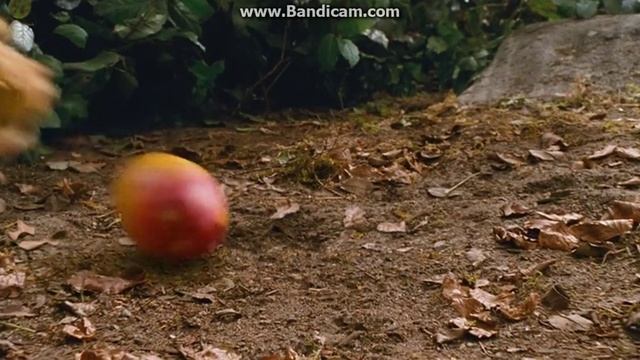 моя прелесть