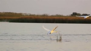 Иисус! Сколько раз Он меня поднимал!...