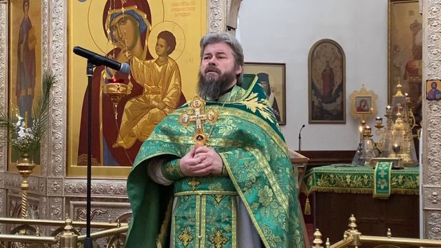 13.04.2025 г. Вход Господень в Иерусалим смотреть онлайн