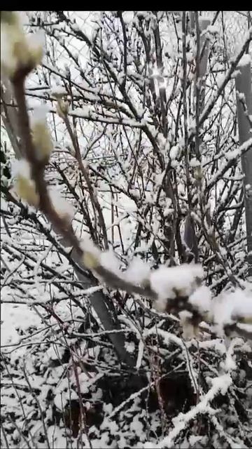 Снег в апреле смотреть онлайн