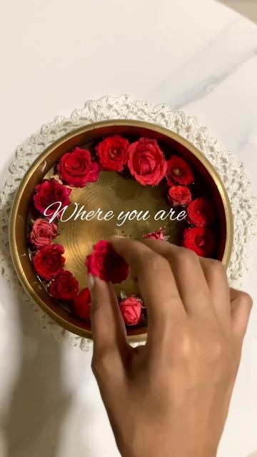 Let’s #bloom | #plantcare #aesthetic | #planttips and #plantcare with #plantiistry смотреть онлайн