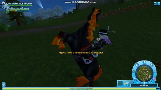 Star Stable покупка магических лошадей №7