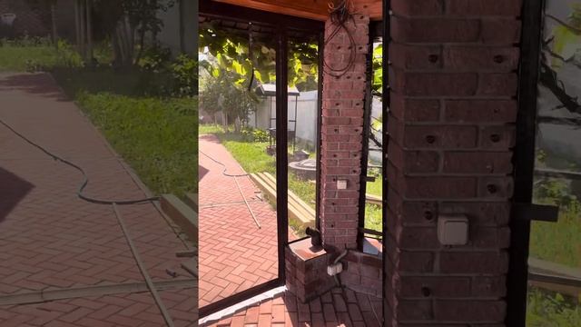 20 июля 2023 г. смотреть онлайн