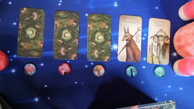 20 Марта.Карта дня.