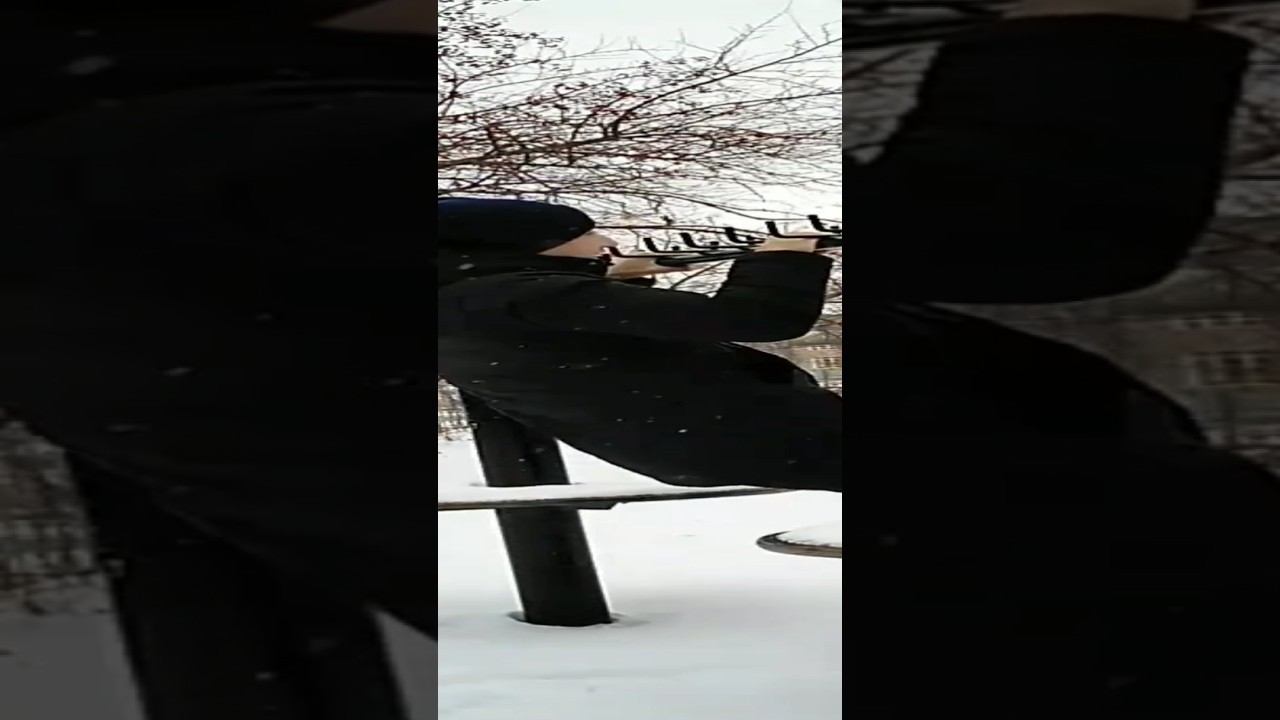 Front lever pull ups, high L-sit pull ups смотреть онлайн