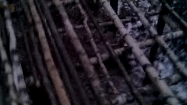 Дом на дереве жизнь в лесу 14 смотреть онлайн