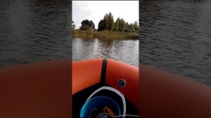 Окунь на микроколебалку