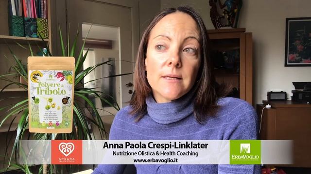 Polvere di Tribolo смотреть онлайн