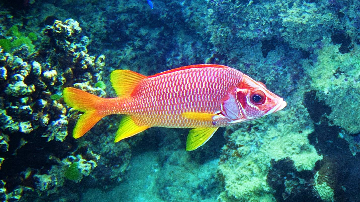 Пятнадцать дней в раю. (03.2025 г.) 5 серия. смотреть онлайн