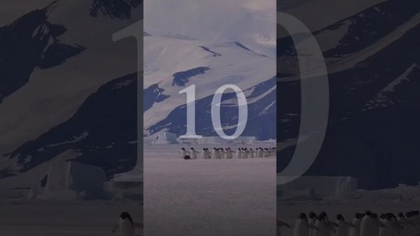 Мотивация✅