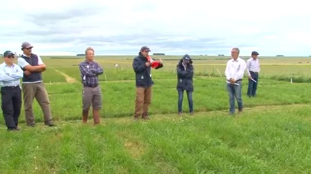 6. Recomendaciones para el manejo de pasturas en sistemas ganaderos смотреть онлайн
