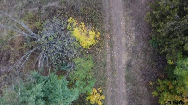 о. Хортиця, м. Запоріжжя Осінь 2021 смотреть онлайн