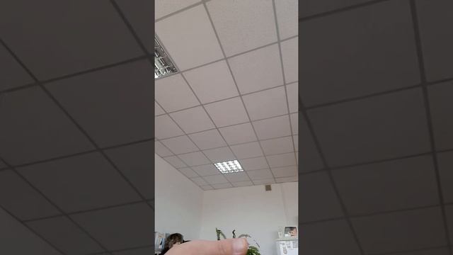 отстранение от работы. в управлении образования (3) смотреть онлайн