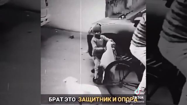 Брат это защитник и опора. смотреть онлайн
