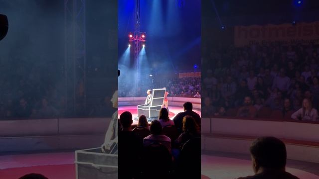 Цирк за 3 евро в Германии, 1 час. представление смотреть онлайн