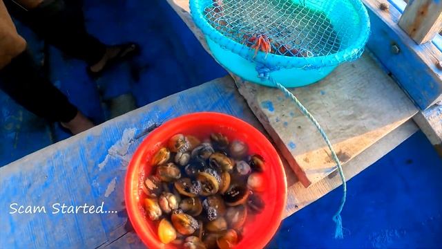 Chilika Lake Scam Odisha INDIA 🇮🇳 смотреть онлайн