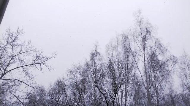 А у нас снова снег🙂 !Чистый и пушистый и такой игристый😍