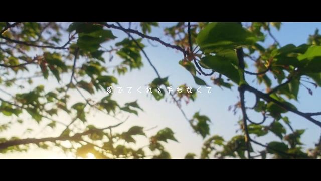 【スタジオジブリ】ゲド戦記 テルーの唄/ 手嶌葵(アカペラアレンジ) cover by 冬夏-TOKA-【Tales from Earthsea】 смотреть онлайн