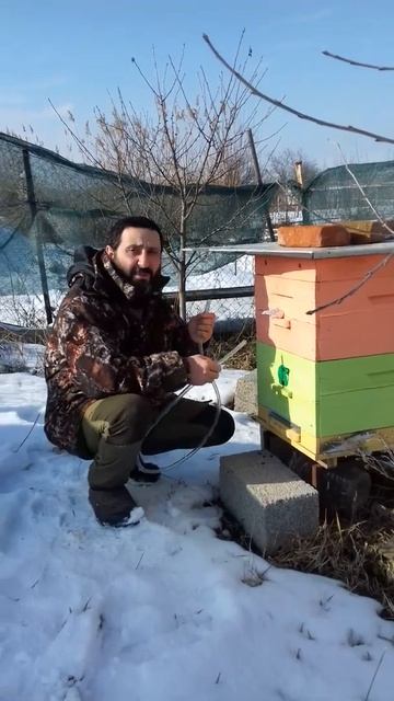 Как проходит зимовка пчёл? Прослушиваем улья. смотреть онлайн