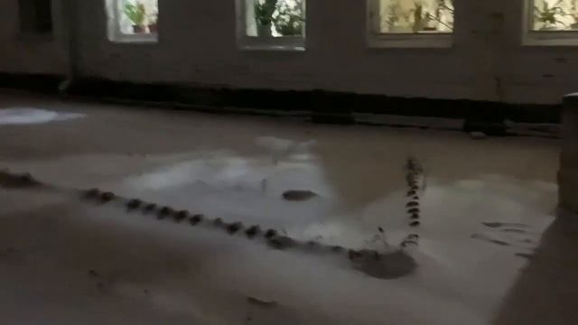 Как Снегурки на метле)/Мама Вера отличилась)На квартире у ЛЮБЫ. смотреть онлайн