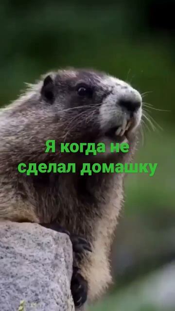 2 апреля 2023 г. смотреть онлайн