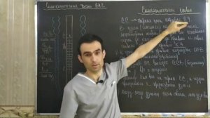 АНАТОМИЯ ВЕГЕТАТИВНАЯ НЕРВНАЯ СИСТЕМА