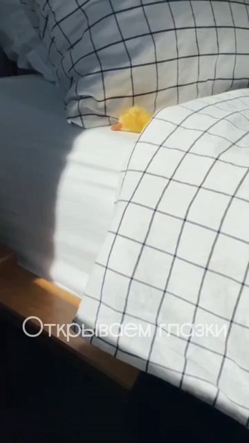 Доброе утро🤗😘