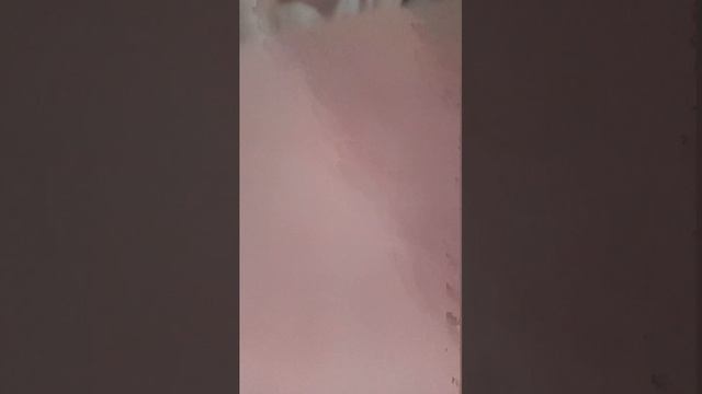 h смотреть онлайн